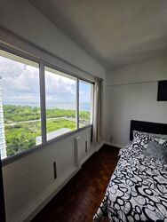 Lagoon View (D15), Apartment #575097561
